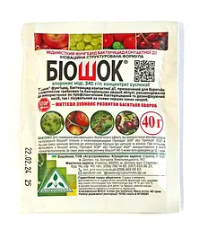 Фунгіцид Біошок 40 г