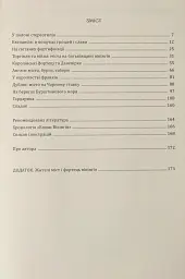 Міста та фортеці вікінгів: від Ірландії до Волги - Олександр Бондар - мініатюра 10