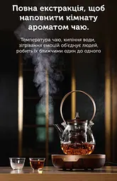 Чайник-заварник Samadoyo Везувій, 1000 мл - мініатюра 10
