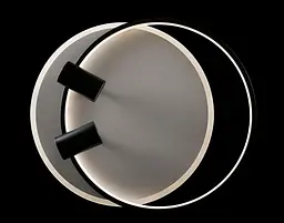 Люстра стельова LED Splendid Ray L2451/480/2+2, 4 лампи, 56 см, чорний та білий, сучасний стиль, з пультом, димер - мініатюра 5
