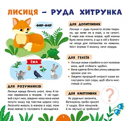 Лісові мешканці. Моя перша енциклопедія + наліпки - Світлана Сіліч - мініатюра 3