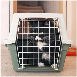 Переноска для собак та котів Ferplast Atlas 10 EL сіра до 5 кг 48x32.5x29 см 73007199 - мініатюра 3
