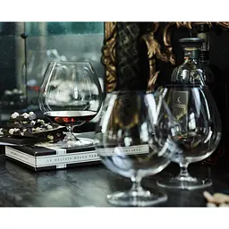 Набір келихів для бренді Riedel Vinum 840 мл 2 шт. (6416/18) - мініатюра 5