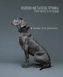 Нашийник для собак з повідцем Harness, нейлоновий з металевою пряжкою-фастекс Чорний, M - мініатюра 3