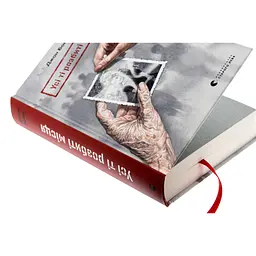Книга Усі ті розбиті місця - Джон Бойн Видавництво Старого Лева (9789664483541) - мініатюра 5
