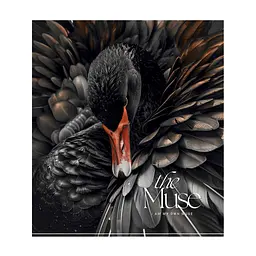 Зошит Школярик THE MUSE 48 аркушів клітинка (048-3444K), в асортименті - мініатюра 3