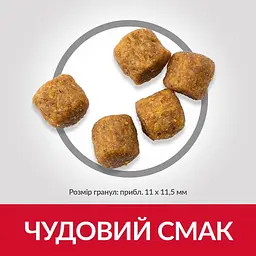 Сухий корм Hill’s SP Adult Medium Breed для дорослих собак середніх порід з ягням і рисом 14 кг - мініатюра 4