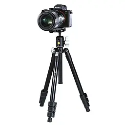 Штатив Vanguard Vesta FB 204ABS (Vesta FB 204ABS), Чорний - мініатюра 7