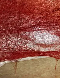 Chiharu Shiota (Bilingual edition) - мініатюра 6