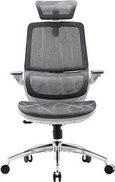 Офісне крісло Sihoo M59AS Mesh Gray (M59AS-M301) - мініатюра 1