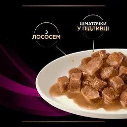 Вологий корм для кішок Purina Pro Plan Veterinary Diets UR ST/OX Urinary З лососем 10 x 85 г (8445290093851) - мініатюра 7