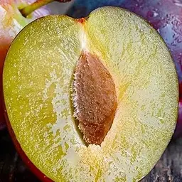 Саджанець Agro-Market Слива Президент (осінній сорт, пізній термін дозрівання) (20942) 1 шт. в упаковці - мініатюра 3