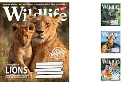 Набір зошитів Yes «Wild life» 60 арк., у клітинку, 10 шт. 766067 в асортименті