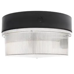 Світильник захищений Brille HD-67/250W адміністративний стельовий (154155) - мініатюра 2
