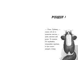 Тото. Кішка-ніндзя та справа про викрадення сиру. Книга 2 - Дермот О'Лірі (Ч1522002У) - мініатюра 4