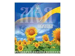 Зошит в клітинку МРІЇ ЗБУВАЮТЬСЯ 96 арк. 8 шт./уп. арт.3629к Україна - мініатюра 3