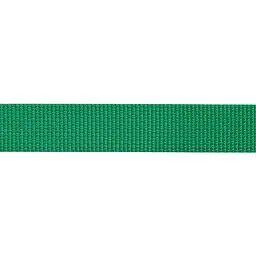 Стропа Beal Flat Tape Unie 26 мм x1 м (1046-BSP26UNI.100.G)