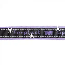 Шлеї для собак Ferplast Sport Dog P XS (FR78004519) - мініатюра 5