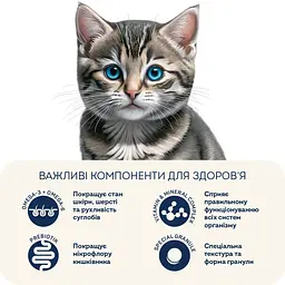 Корм для кошенят Home Food зі свіжою куркою 10кг - мініатюра 4