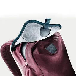 Рюкзак Deuter Vista Chap Maron-Arctic (1052-3811119 5324) - мініатюра 2