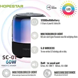 Портативна Bluetooth-колонка Hopestar SC-01 Чорний - мініатюра 3