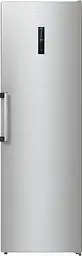 Холодильна камера Gorenje R619EAXL6 (R619EAXL6)