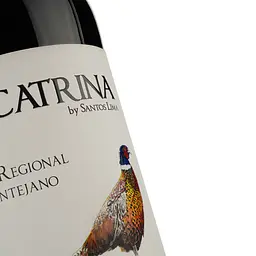 Вино Casa Santos Lima Valcatrina, червоне, сухе, 14,5%, 0,75 л (30993) - мініатюра 3