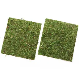 Фон з натурального моху Repti-Zoo Natural Moss Back & Bottom 20x20см 2 шт (NCM2020) для тераріуму - мініатюра 4