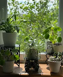 Підставка металева для квітів-вазонів NC Home Plant чорна - мініатюра 4