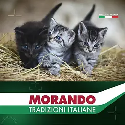 Сухий корм для кошенят Morando Tradizioni Kitten з куркою та лососем 400 г - мініатюра 5