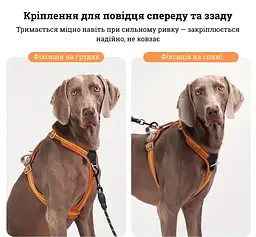 Шлея для собак Duomm No-Pull з повідцем, регульована та світловідбивна помаранчевий, XS - мініатюра 6