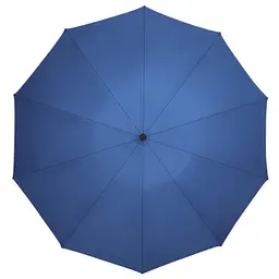 Парасолька Xiaomi Zuodu Automatic Umbrella (ZD001) Blue [68845] - мініатюра 2