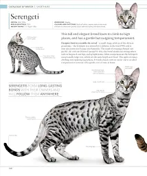 The Cat Encyclopedia - мініатюра 12