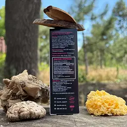 Комплекс рідких екстрактів Лісовик Beauty для шкіри волосся та нігтів 30 мл - мініатюра 4