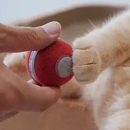 Розумний м'ячик для котів Cheerble Wickedball Mini Artificial Wool Red (C0419-R) [168098] - мініатюра 9