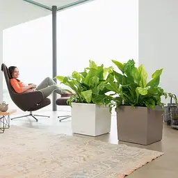 Вазон Lechuza Cube Premium, 31 л, антрацитовий (16363) - мініатюра 6