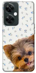 TPU чехол Demsky Cute Yorkie для OnePlus Nord CE 3 Lite