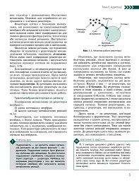 Біологія і екологія. Підручник. Профільний рівень. 11 клас - Костянтин Задорожний - мініатюра 4