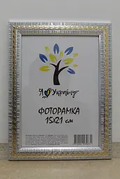 Фоторамка 15х21, срібна із золотою змійкою, 2416-120G, Скло + Картон