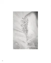 Chanel High Jewelry - мініатюра 9