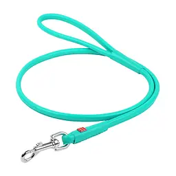 Повідець для собак WAUDOG Glamour круглий XS d 8 мм Д 122 см ментоловий (337713)