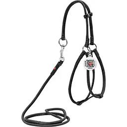 Шлея з повідцем для собак Waudog Soft, шкіряна, кругла, з QR паспортом, 42-60х46-64х0,6/105 см, черний (46201)