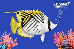 М'яка іграшка Hansa Риба-метелик ниткопера Hansa, 34 см - мініатюра 2