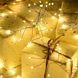 Гірлянда світлодіодна від мережі Роса Y25-28WW 19572 20 м 500 LED теплий жовтий - мініатюра 3