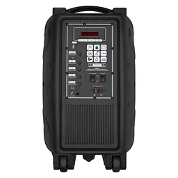 Портативная колонка BIG TORNADO 300W, два радио микрофона, караоке - мініатюра 3