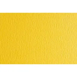 Папір для дизайну Fabriano Elle Erre А3 (29.7x42см) №25 cedro 220г/м2 жовтий дві текстури