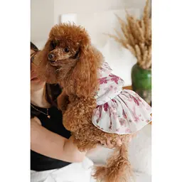 Сукня Pet Fashion Amelia для собак S - мініатюра 5