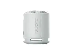 Портативная колонка Sony SRS-XB100 Grey (SRSXB100H.CE7)