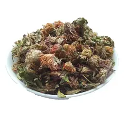Конюшина червона Квіти Trifolium rubens