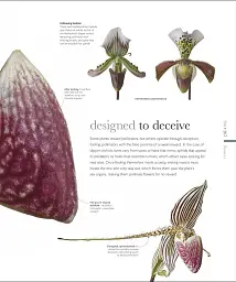 The Science of Plants - мініатюра 16